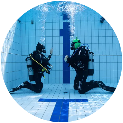 Instructors